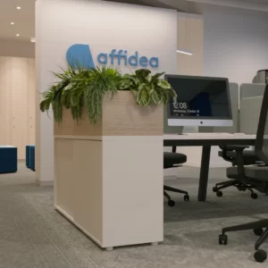 Amenajare Birouri affidea - else studio